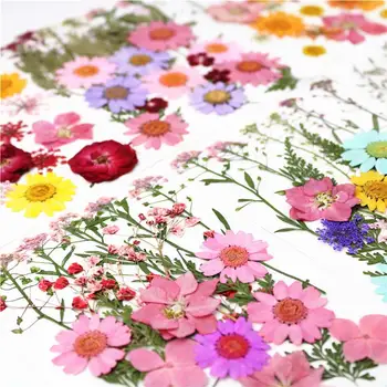 1 bucată de Colorat Flori Uscate, Plante Uscate Pentru Lumânare Epoxidice Rășină Pandantiv Colier Bijuterii de Luare de Artizanat DIY Accesorii