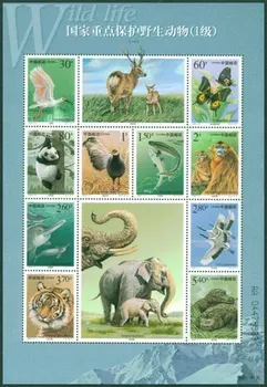 10buc/Set Nou China Post Timbru 2000-3 cheie la nivel Național faunei sălbatice protejate 1 Stamps MNH 10