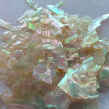 5g Nail Art Abalone Shell Neregulate Fragment 3D de Unghii Farmec Decor Felie pentru Unghii Neinstruit Naturale Shell Sclipici Fulgi